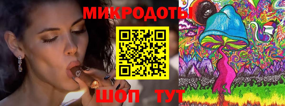 Галлюциногенные грибы Psilocybine cubensis Апрелевка